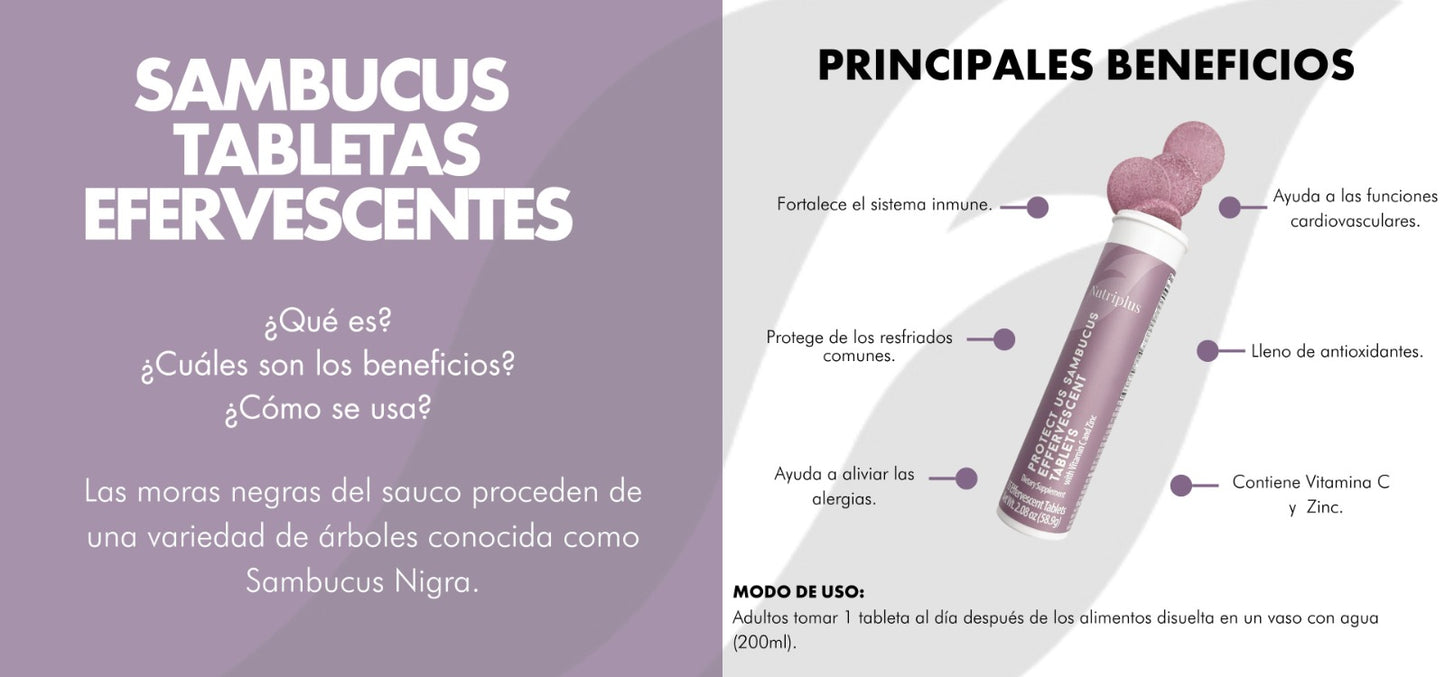 Sambucus nutriplus